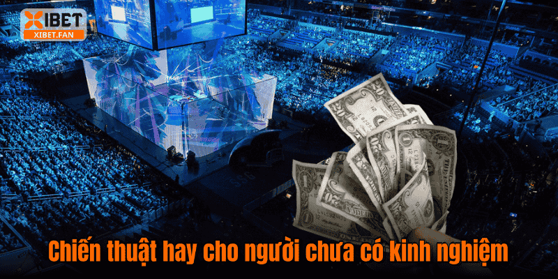 Chiến thuật hay cho người chưa có kinh nghiệm