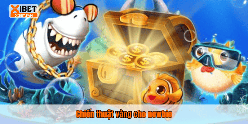 Chiến thuật vàng cho newbie