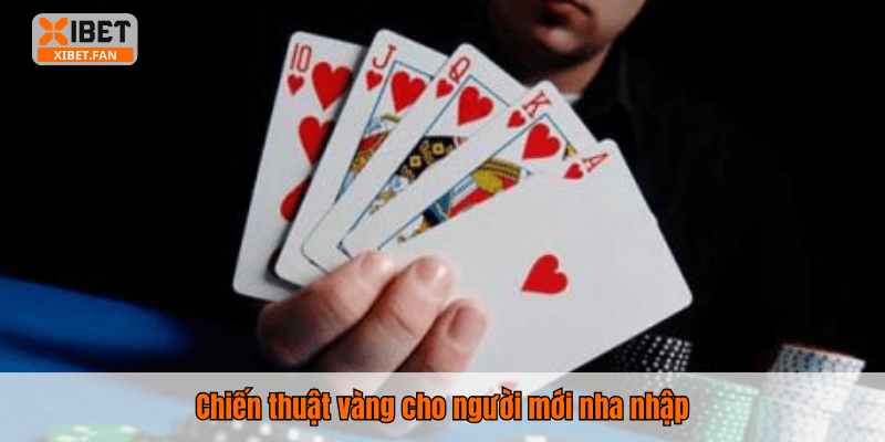 Chiến thuật vàng cho người mới nha nhập