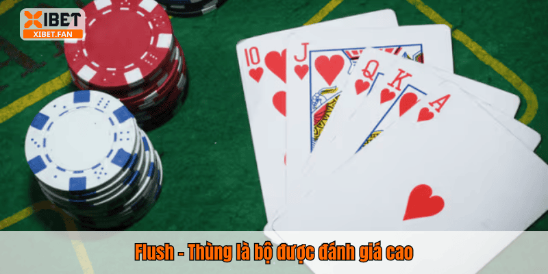 Flush – Thùng là bộ được đánh giá cao