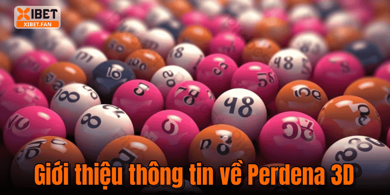 Giới thiệu thông tin về Perdena 3D