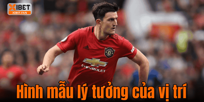 Hình mẫu lý tưởng của vị trí