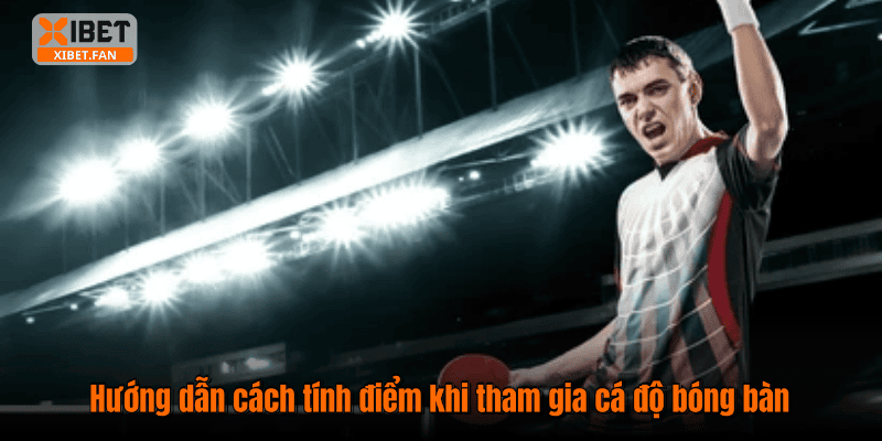 Hướng dẫn cách tính điểm khi tham gia cá độ bóng bàn
