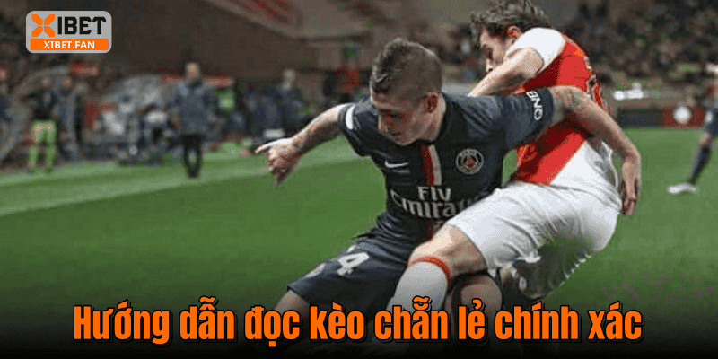 Hướng dẫn đọc kèo chẵn lẻ chính xác