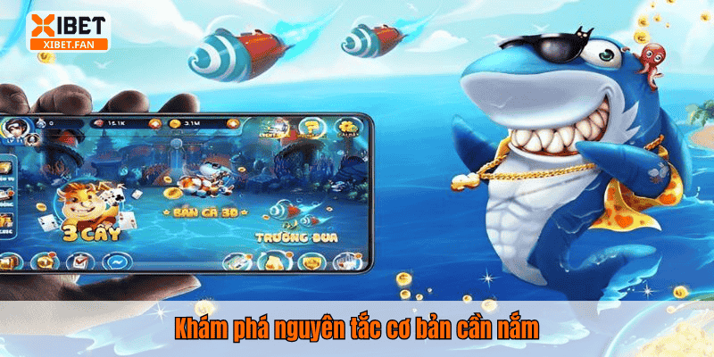 Khám phá nguyên tắc cơ bản cần nắm