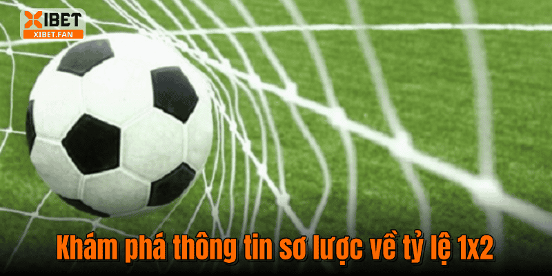 Khám phá thông tin sơ lược về tỷ lệ 1x2