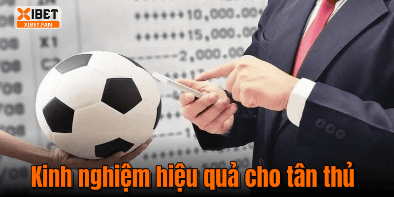 Kinh nghiệm hiệu quả cho tân thủ