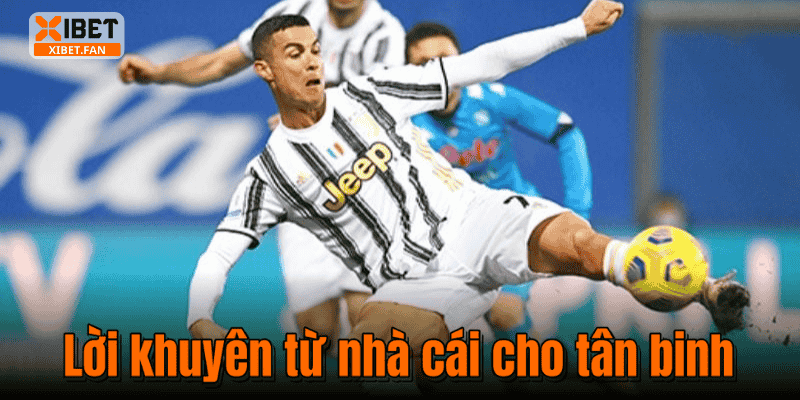 Lời khuyên từ nhà cái cho tân binh
