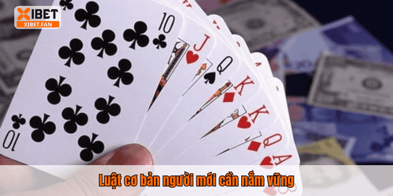 Luật cơ bản người mới cần nắm vững