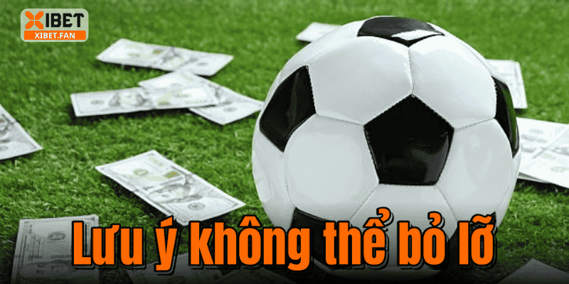 Lưu ý không thể bỏ lỡ