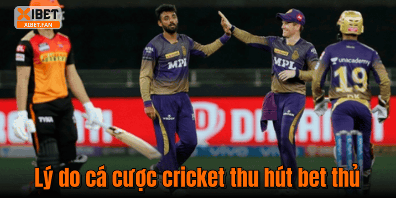 Lý do cá cược cricket thu hút bet thủ