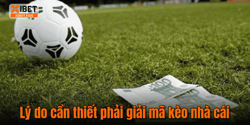 Lý do cần thiết phải giải mã kèo nhà cái