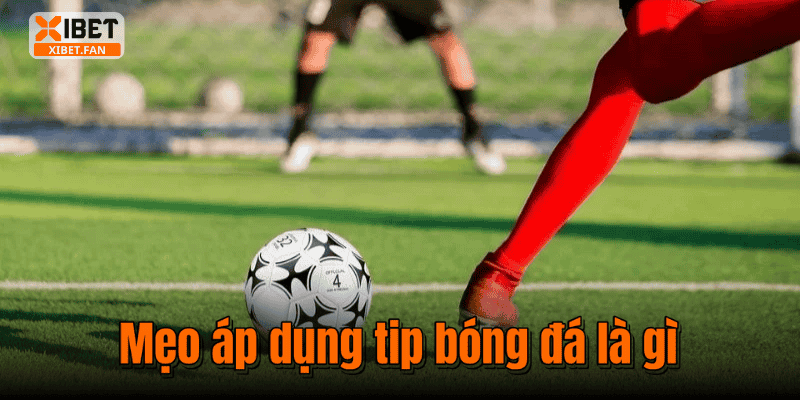 Mẹo áp dụng tip bóng đá là gì