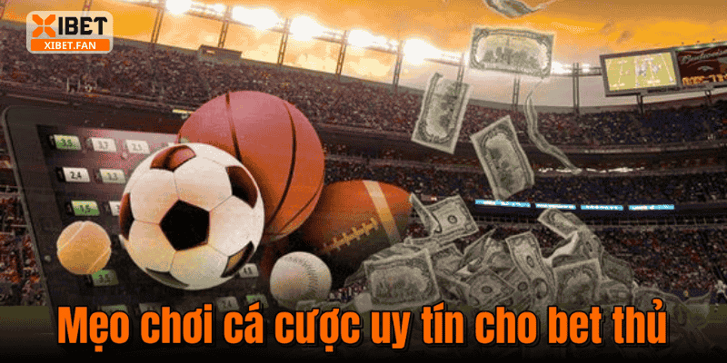 Mẹo chơi cá cược uy tín cho bet thủ