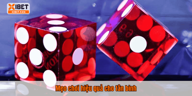 Mẹo chơi hiệu quả cho tân binh
