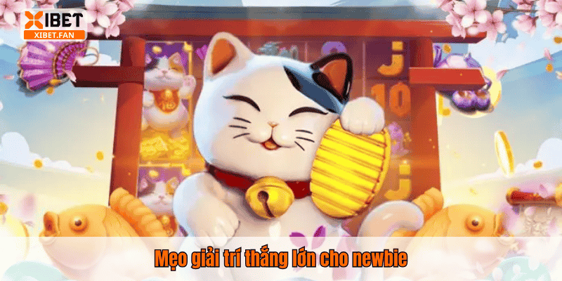 Mẹo giải trí thắng lớn cho newbie