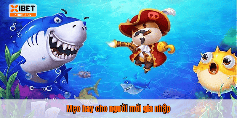 Mẹo hay cho người mới gia nhập