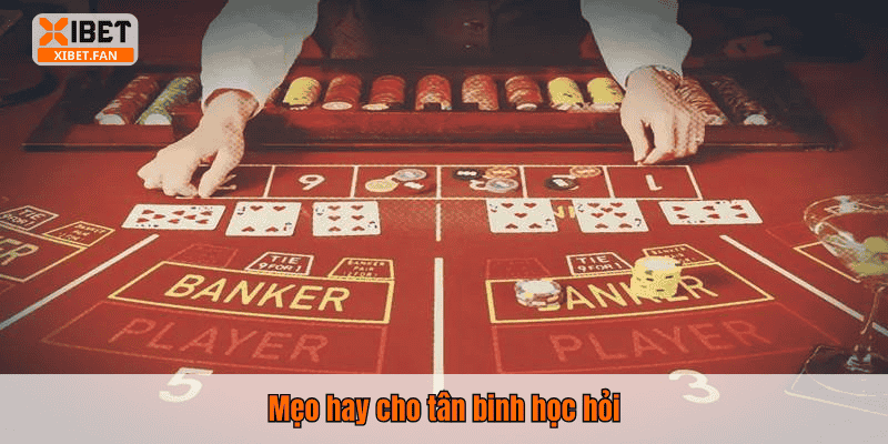 Mẹo hay cho tân binh học hỏi