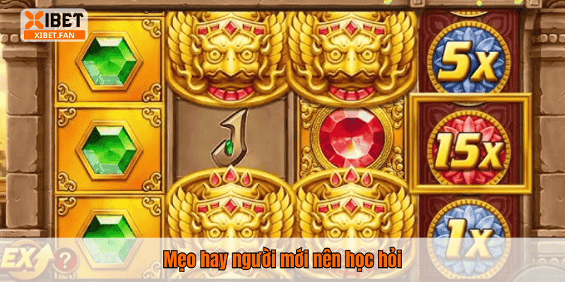 Mẹo hay người mới nên học hỏi