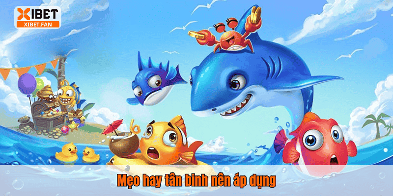 Mẹo hay tân binh nên áp dụng