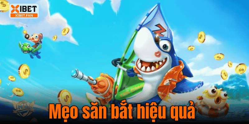 Mẹo săn bắt hiệu quả