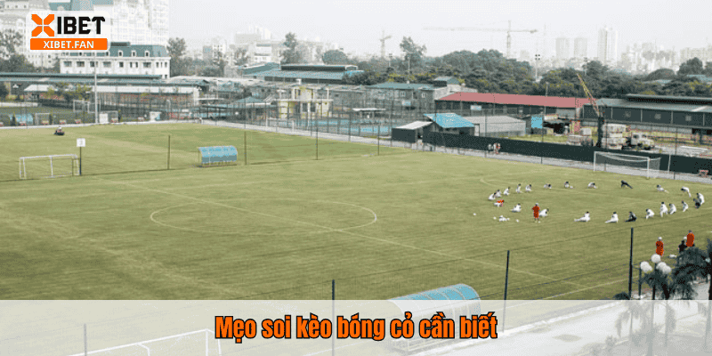 Mẹo soi kèo bóng cỏ cần biết