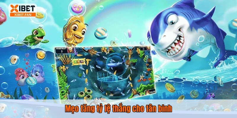 Mẹo tăng tỷ lệ thắng cho tân binh