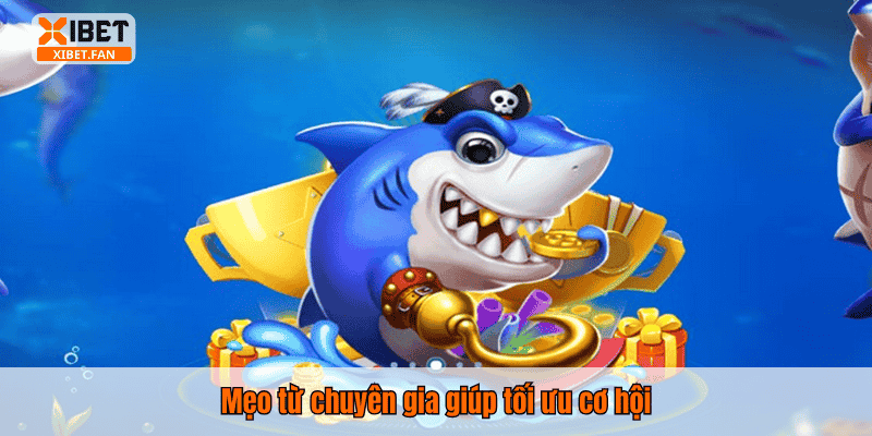 Mẹo từ chuyên gia giúp tối ưu cơ hội