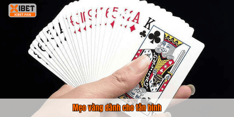 Mẹo vàng dành cho tân binh
