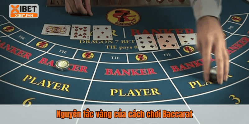 Nguyên tắc vàng của cách chơi Baccarat
