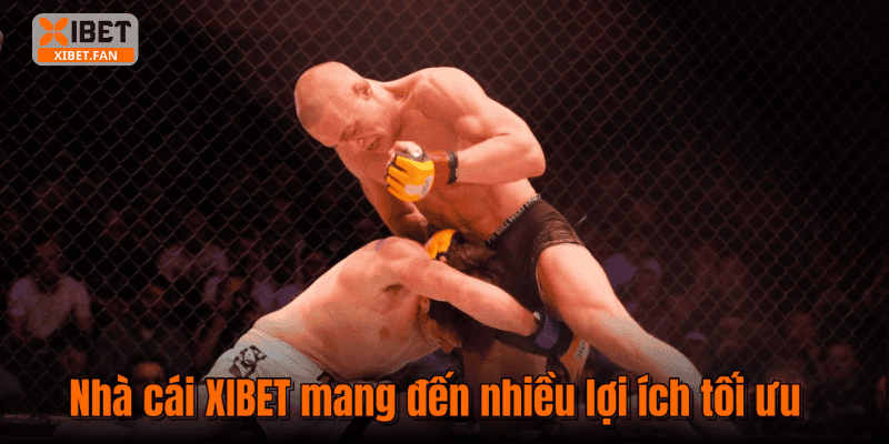 Nhà cái XIBET mang đến nhiều lợi ích tối ưu
