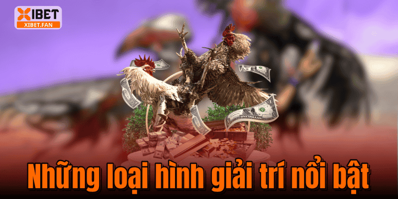 Những loại hình giải trí nổi bật