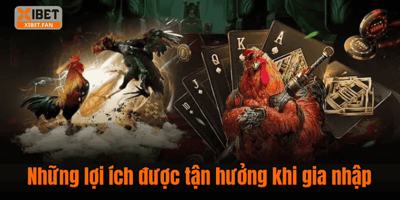 Những lợi ích được tận hưởng khi gia nhập