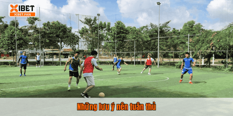 Những lưu ý nên tuân thủ
