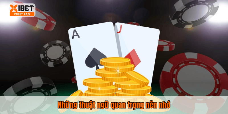 Những thuật ngữ quan trọng nên nhớ