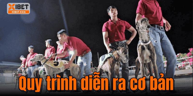 Quy trình diễn ra cơ bản