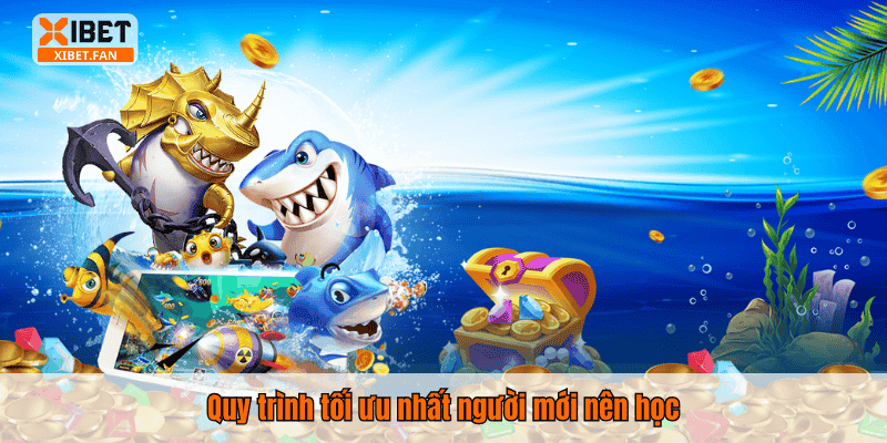 Quy trình tối ưu nhất người mới nên học