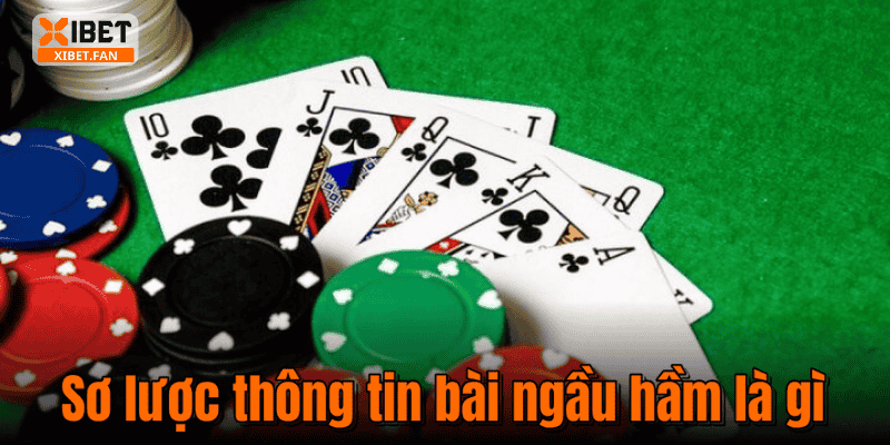 Sơ lược thông tin bài ngầu hầm là gì