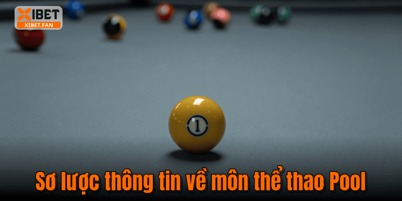 Sơ lược thông tin về môn thể thao Pool