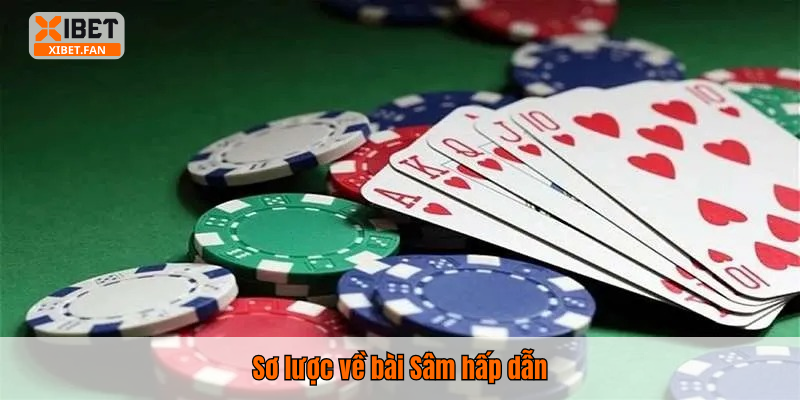 Sơ lược về bài Sâm hấp dẫn