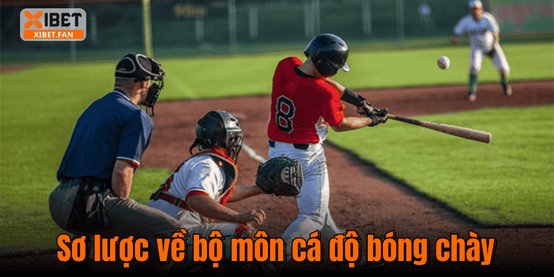 Sơ lược về bộ môn cá độ bóng chày