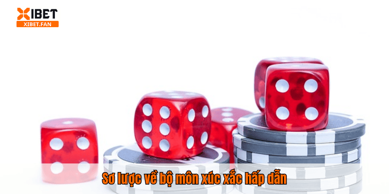 Sơ lược về bộ môn xúc xắc hấp dẫn