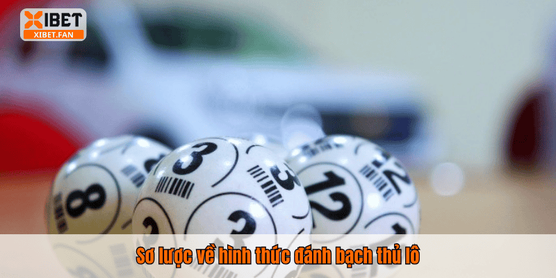 Sơ lược về hình thức đánh bạch thủ lô