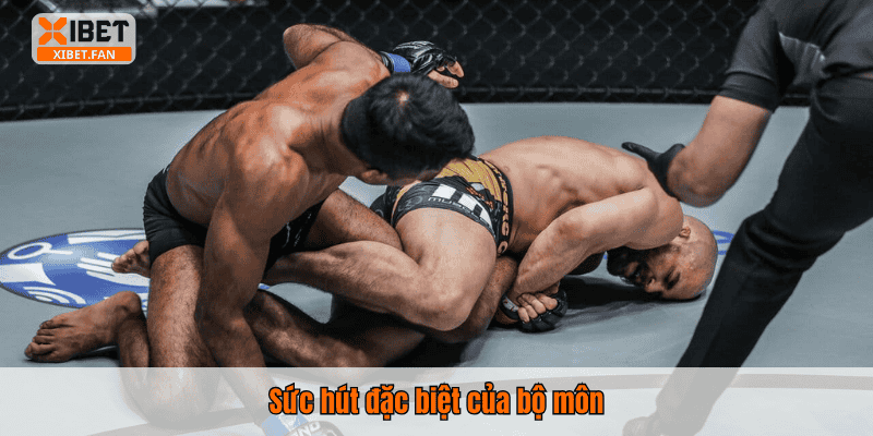 Sức hút đặc biệt của bộ môn