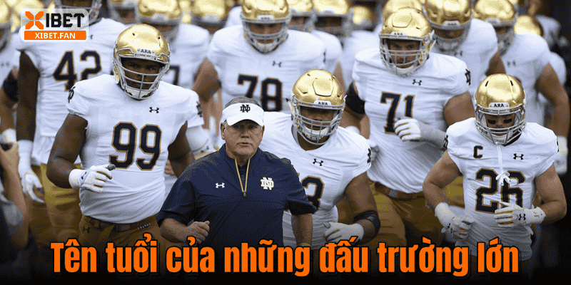Tên tuổi của những đấu trường lớn