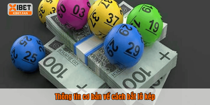 Thông tin cơ bản về cách bắt lô kép