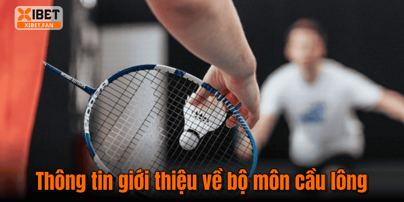 Thông tin giới thiệu về bộ môn cầu lông