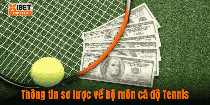 Thông tin sơ lược về bộ môn cá độ Tennis