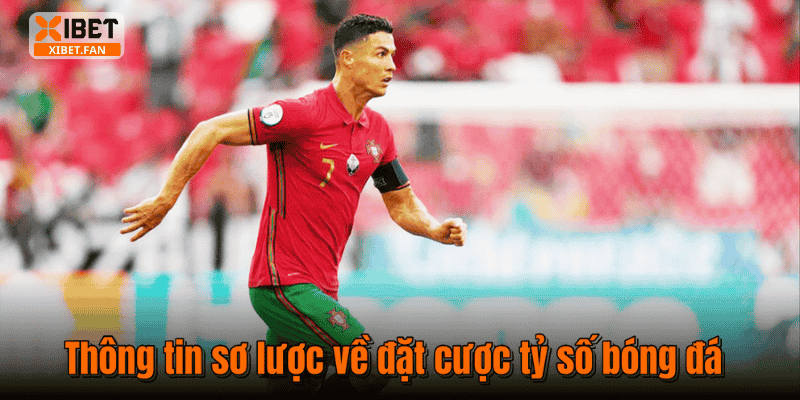 Thông tin sơ lược về đặt cược tỷ số bóng đá