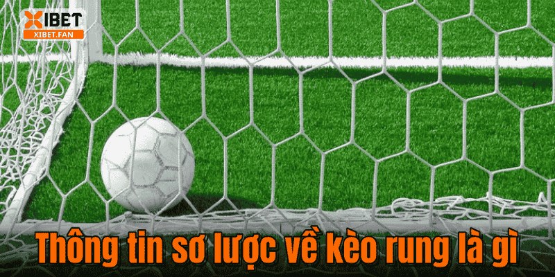 Thông tin sơ lược về kèo rung là gì